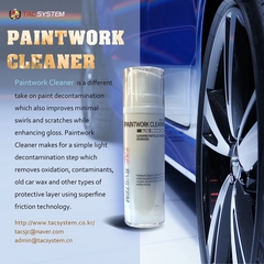 PAINTWORK CLEANER